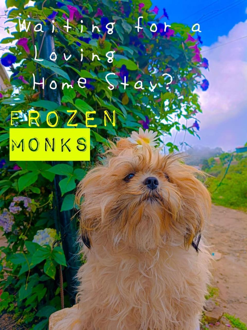 코다이카날 Frozen Monks 빌라 외부 사진